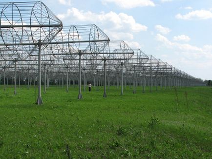 Радіотелескоп, космічний радіотелескоп, параболічна антена, інтерферометр