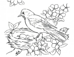 Imprimați paginile de colorat cu păsările