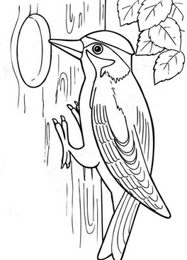 Роздрукувати розмальовки з птахами
