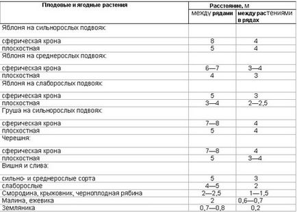 Distanta dintre copaci cand plantati o gradina - masa si recomandari