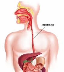 розрив стравоходу