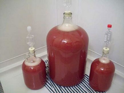 Rețeta pentru fabricarea vinului de căpșuni de casă