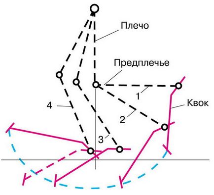 Pescuit - portal de informare și divertisment