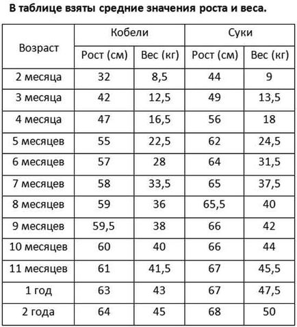 Зростання і вага кане-корсо по місяцях