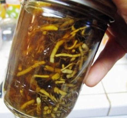 Potentilla ízületi tinktúra, kenőcs, olaj, testápolók (tinktúra) Potentilla ízületi tinktúra, kenőcs, olajat, krémeket
