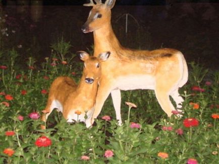 Garden alakjai hab (merített) Kerti alakjai hab