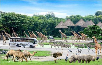 Parcul Safari din Bangkok