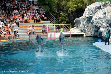 Safari world в Бангкоку - це те місце, де потрібно побувати з дитиною, подорожі з Іриною ярої