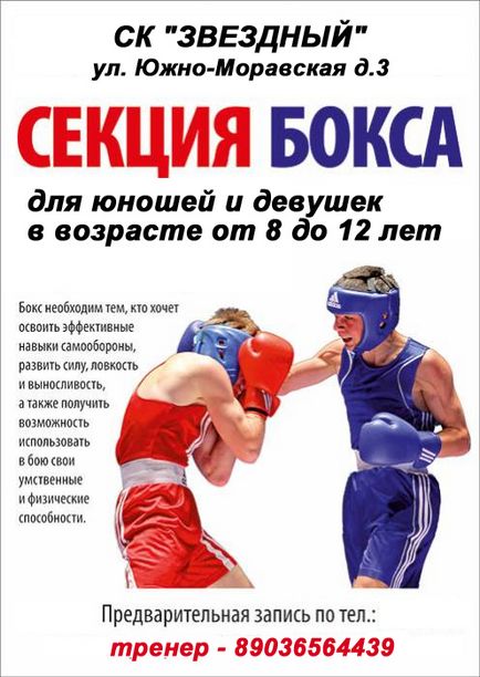 Boxe stiluri de secțiune de box - secțiunea caseta