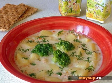 Сирний суп з брокколі - реуепт смачного і дієтичного першого страви