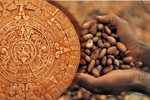 Сире какао живі какао боби з тропічного лісу