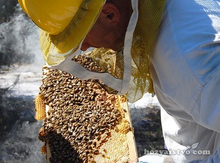 Conținutul albinelor în stupi cu mai multe corpuri