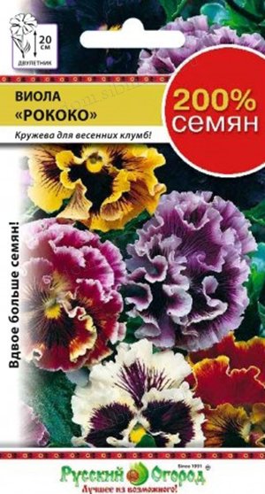 Consiliile pentru cultivarea violurilor (pansies) din sibmens - grădina de flori de vile