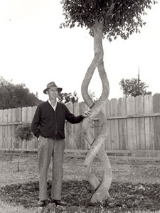 Статті арбоскульптури - скульптура з живих дерев