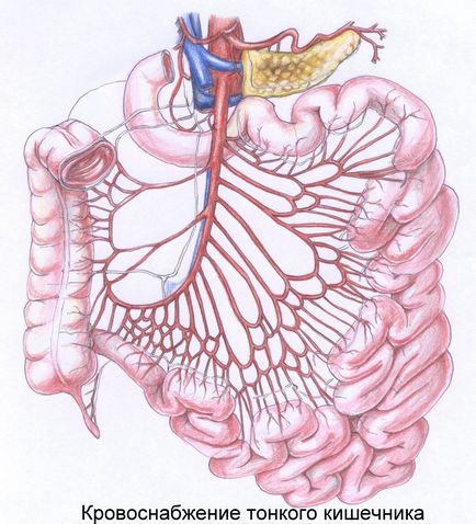 Ateroscleroza atentă a ramurilor viscerale ale tratamentului aortei, operație