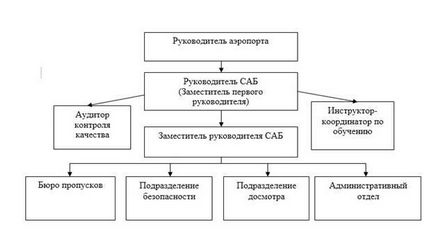 Структура, завдання та функції служби авіаційної безпеки