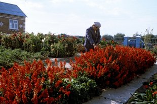 Суд дозволив кримчанам без реєстрації отримати громадянство України - українська газета