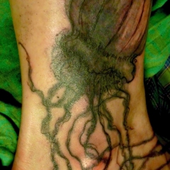 Татуювання медуза - значення, ескізи тату і фото