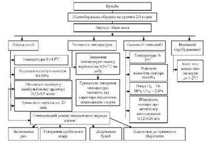 Tehnologia de depozitare a produselor vegetale, baze biologice de depozitare, depozitarea cartofilor, depozitare