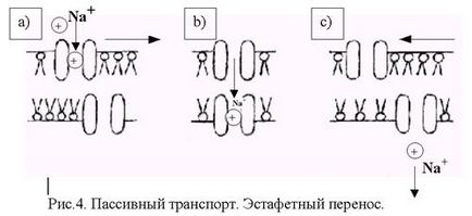 Транспорт іонів рухомим переносником