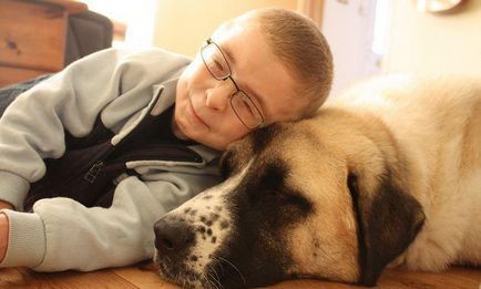 Câine cu trei picioare ajută un băiat cu handicap - pagina 1 din 2
