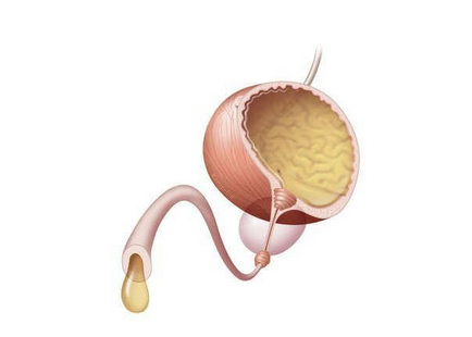 Urologie a bolii, istoric, secțiuni, simptome, tratament