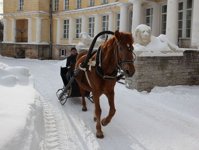 Homestead marino, Leningrad (regiune)