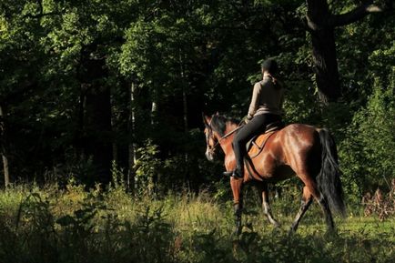 Садиба Мар'їно в ленінградській області