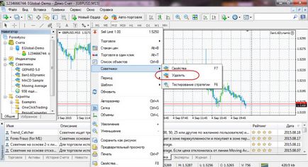 Instalarea unui Forex Expert Advisor la Forex