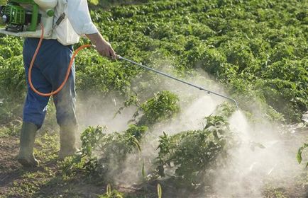 Утилізація пестицидів і знешкодження
