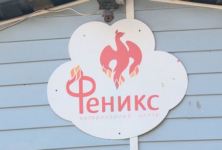 Állatorvosi klinika „Felix” Noginsk nem gyógyítja, és nyomorékok háziállat csatorna 360 (csatorna 360 Podmoskove) Állatorvosi klinika „Felix” a Noginsk nem gyógyítja, és nyomorékok háziállat, csatorna 360