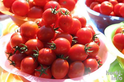 La Academia Gorcek au creat un soi de roșii care nu se teme de deflagrame târzii și fructe până în octombrie