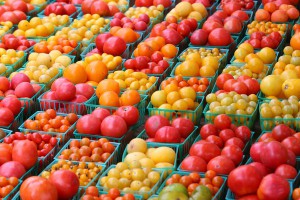 Cultivarea tomatelor pentru leneși, pentru