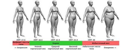Вісцеральний жир як позбутися від зайвих сантиметрів на талії, перший жіночий