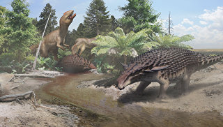 У Горловкаом краї знайшли кістки динозаврів і мамонтів - ріа новини