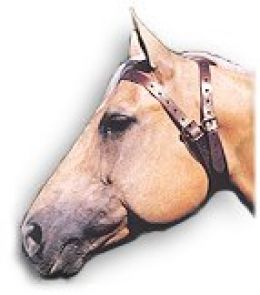 Шкідливі звички у коней все про них і як від них позбавитися - сайт про коней