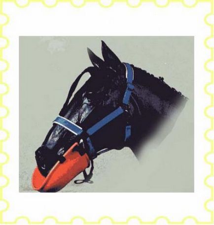 Шкідливі звички у коней все про них і як від них позбавитися - сайт про коней