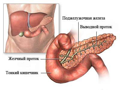 Все про рак підшлункової залози і його лікуванні