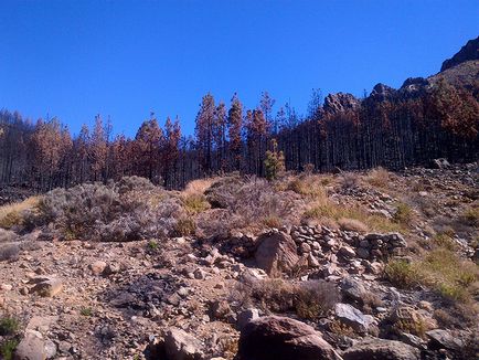 Vulcan Teide sau principalul parc național de pe tenerife, spre vulcan