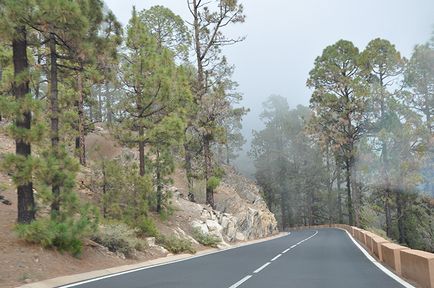 Vulcan Teide sau principalul parc național de pe tenerife, spre vulcan