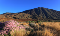 Teide - Teide Nemzeti Park az utat a vulkán, kozmikus tájak, sikló - mindkettő