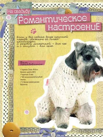 Am tricotat animalele pentru mâinile lor