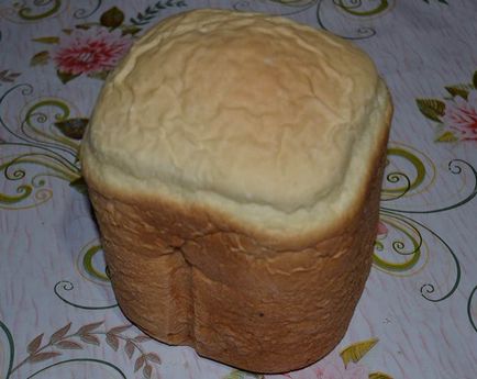 Хліб в хлібопічці ціна питання