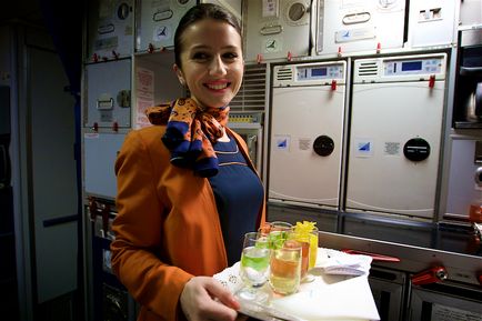 Ianuarie 2016 alimente în avion sau ceea ce companiile aeriene hrănesc