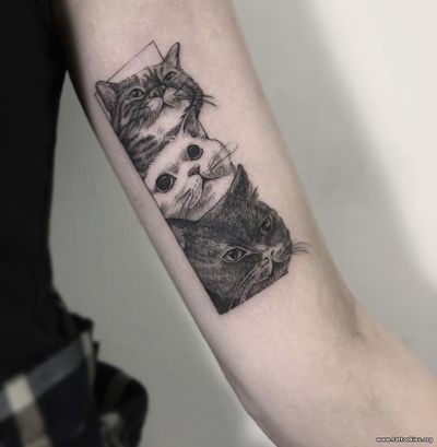 Значення татуювання кішка - значення татуювань