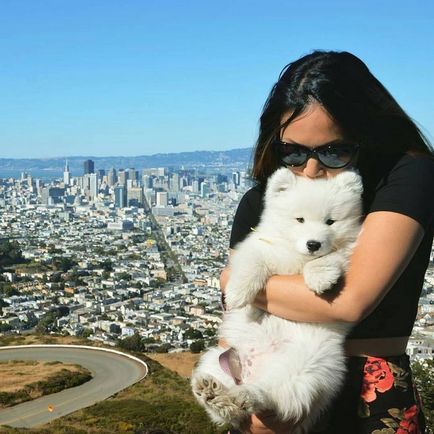 20 Dovada că Samoyedii sunt câinii cei mai fermecători din lume