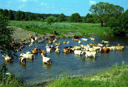 7 Argumente puternice în favoarea concediilor în mediul rural