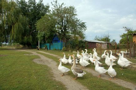 7 Argumente puternice în favoarea concediilor în mediul rural