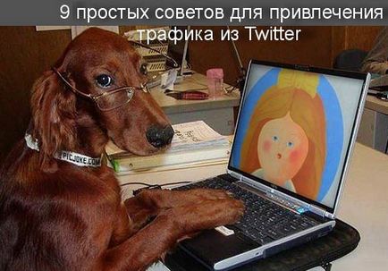 9 Простих порад для залучення трафіку з twitter