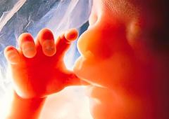 Аборт - переривання вагітності